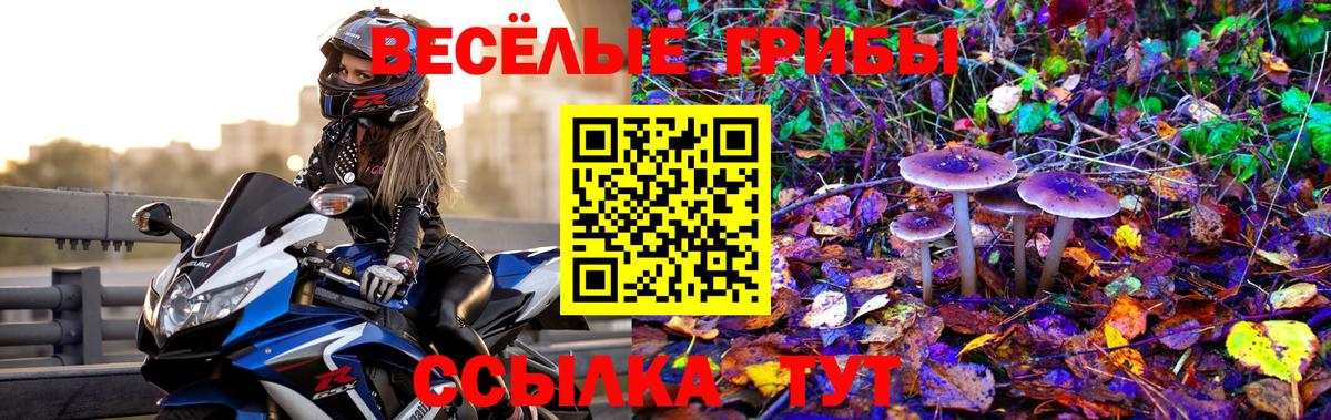 Псилоцибиновые грибы прущие грибы  Псилоцибиновые грибы прущие грибы  Жуковский  Вход с VPN 